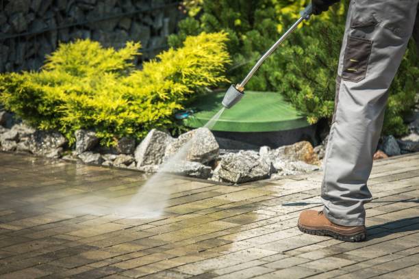 Best Soft Washing  in Lake Camelot, IL
