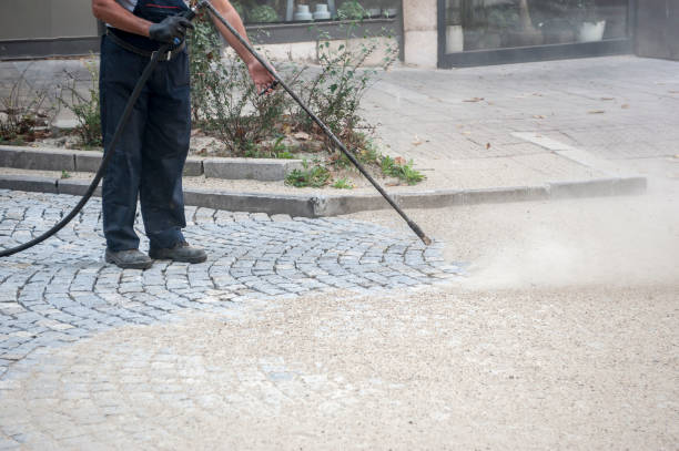 Best Patio and Deck Pressure Washing  in Lake Camelot, IL