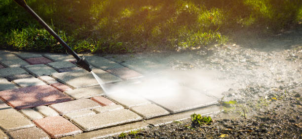 Best Fleet Vehicle Washing  in Lake Camelot, IL